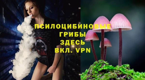 ALPHA-PVP Яранск