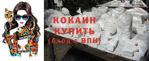 сатива Янаул